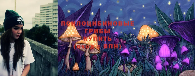 мега как зайти  как найти наркотики  Саранск  Галлюциногенные грибы Magic Shrooms 